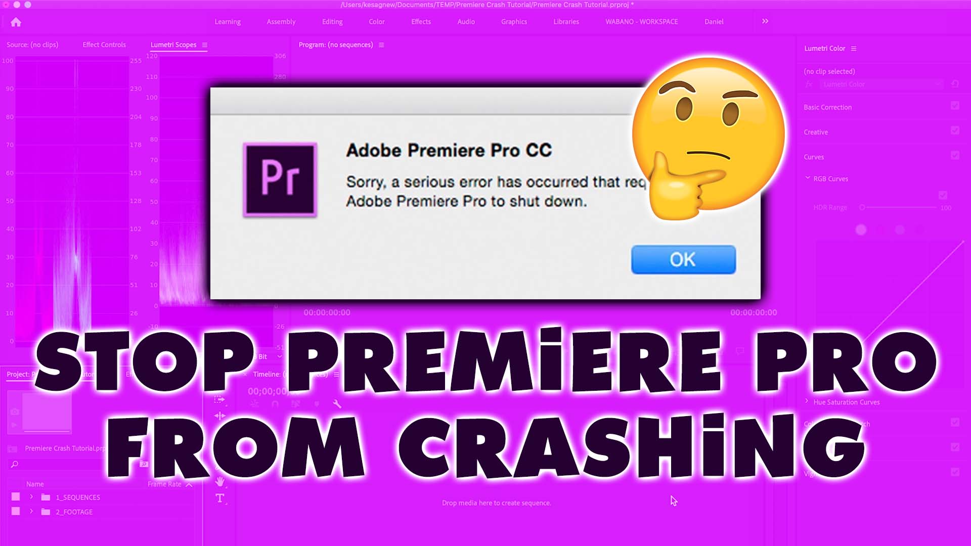 Stop Premiere Pro from Crashing!