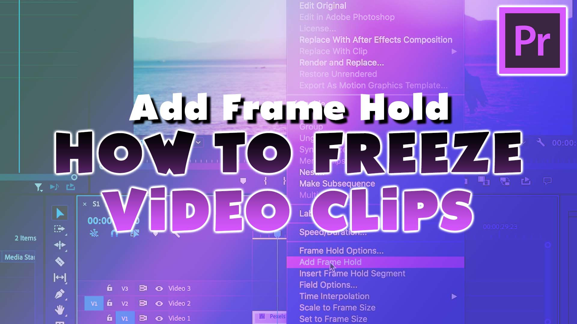 How to Freeze Frame / Freeze Video | Add Frame Hold (Premiere Pro Tutorial)